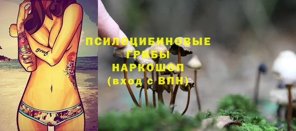 гидра Семикаракорск