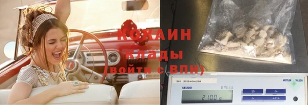 прущий лед Семилуки