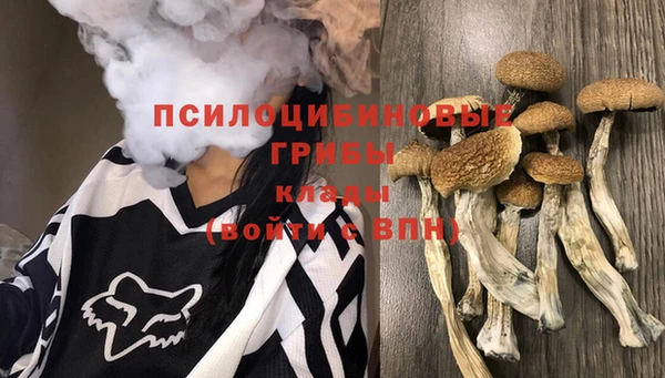 гидра Семикаракорск