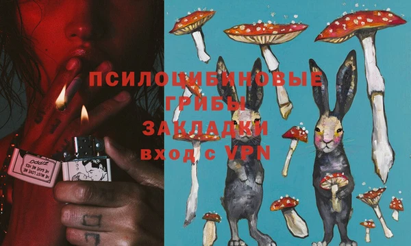 apvp Абдулино