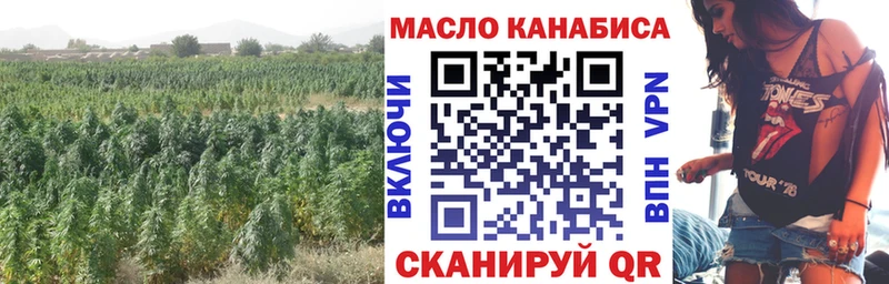 цена Карталы ТГК концентрат